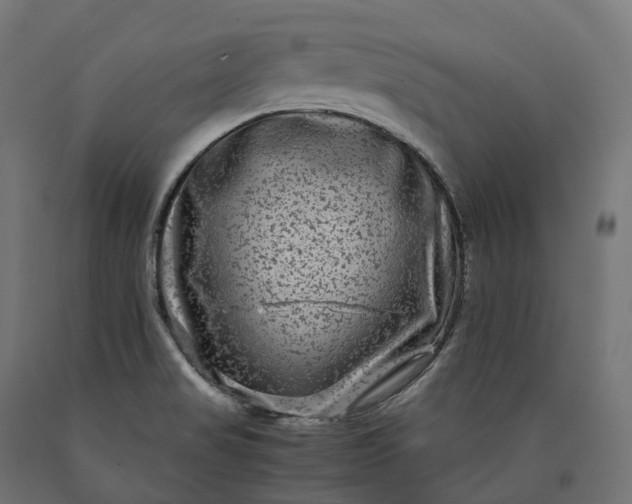 X0000090761517200708031619