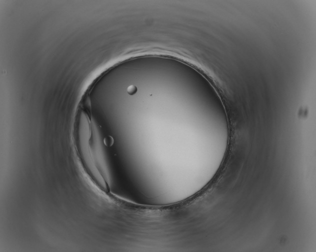 X0000090761518200708031619