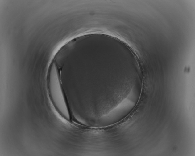 X0000090761519200708031619