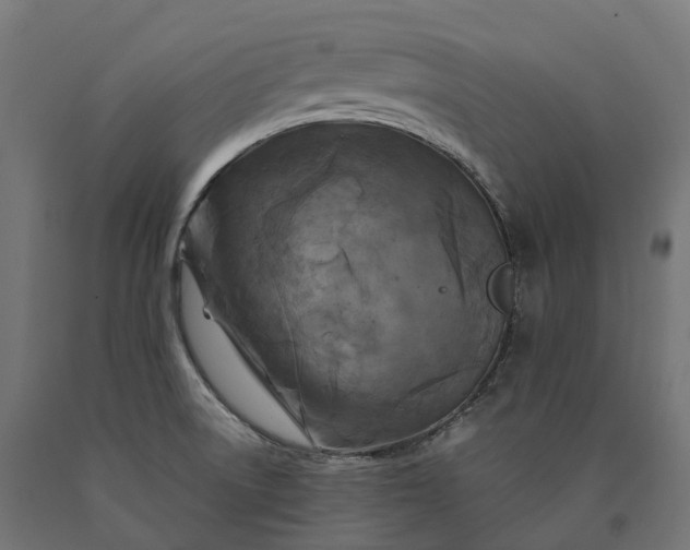 X0000090761522200708031619