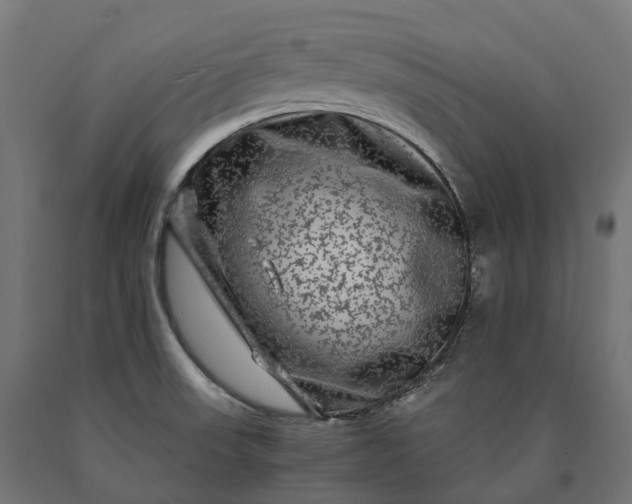 X0000090761523200708031619