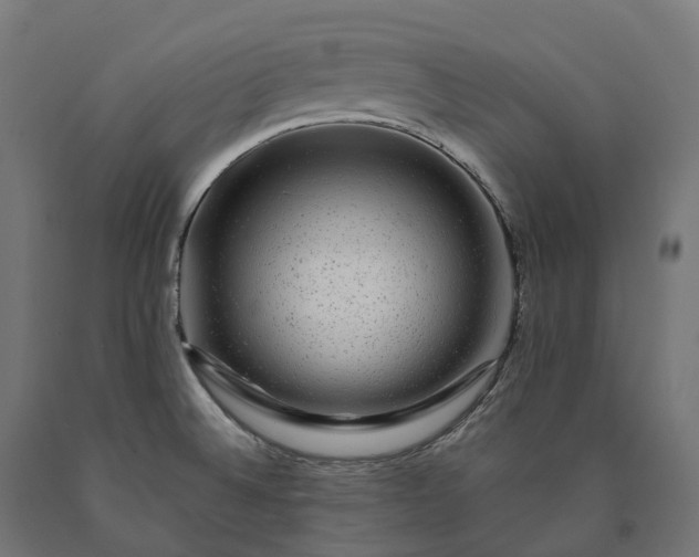 X0000090761524200708031619