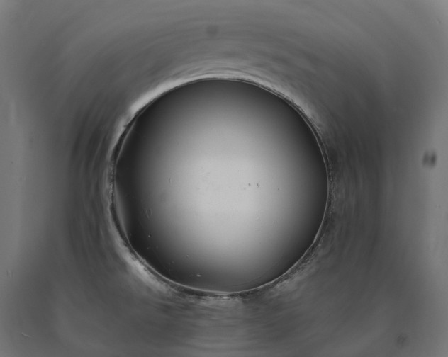 X0000090761526200708031619