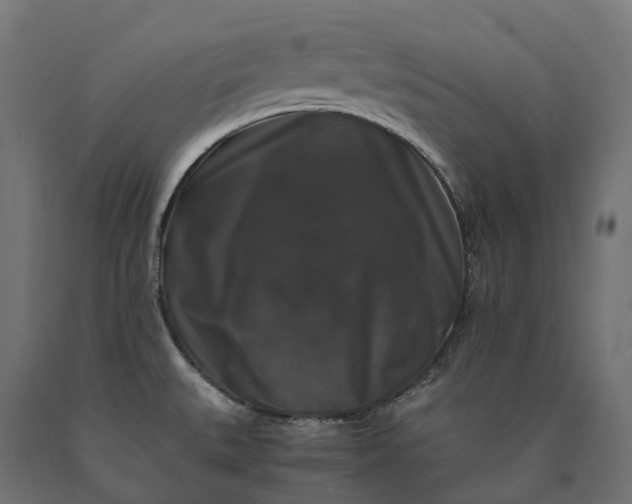 X0000090761527200708031619