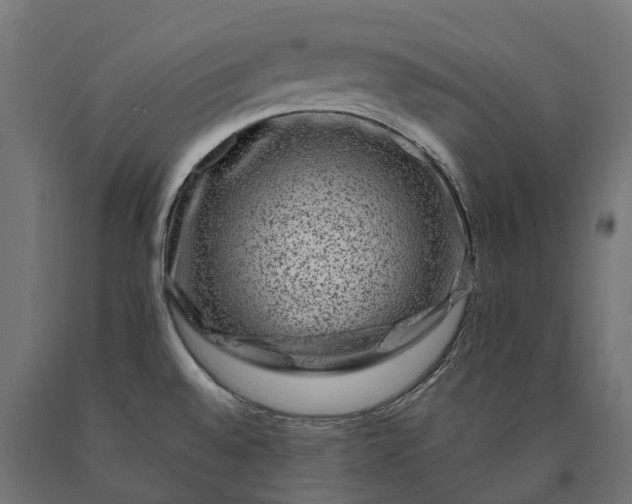 X0000090761528200708031619