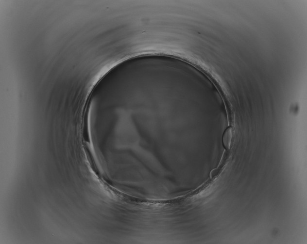 X0000090761529200708031619