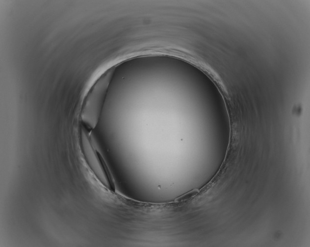 X0000090761530200708031619