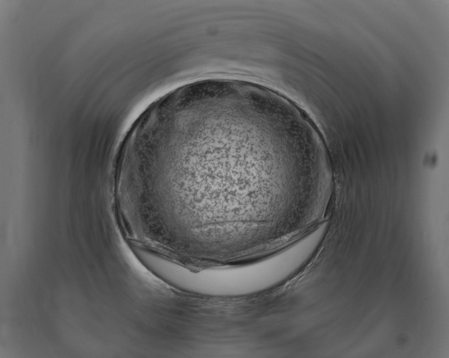 X0000090761531200708031619