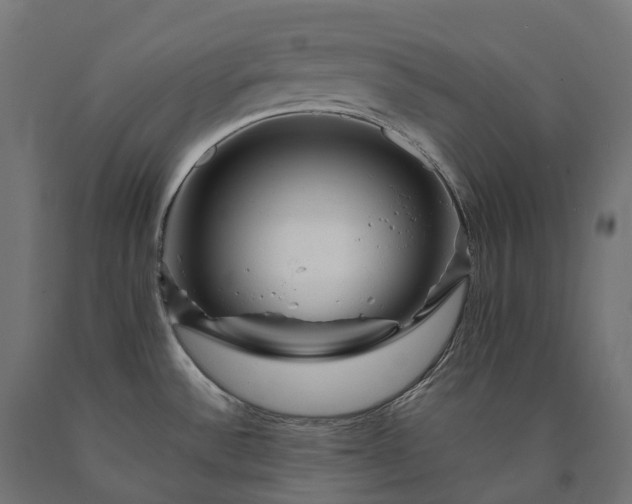 X0000090761532200708031619