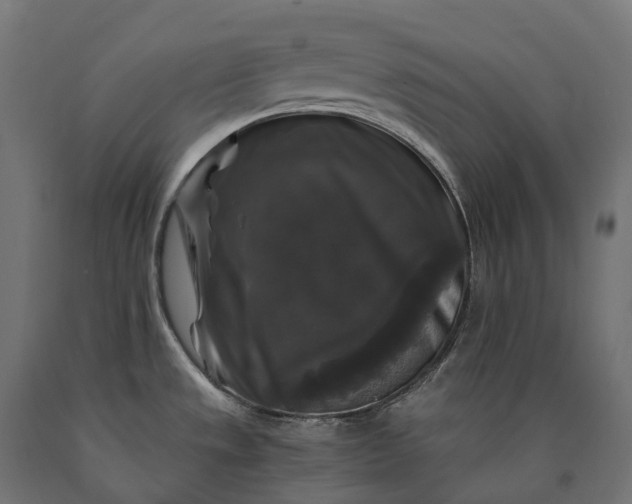 X0000090761533200708031619