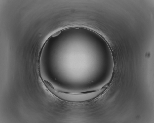 X0000090761534200708031619