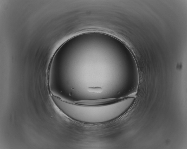 X0000090761535200708031619