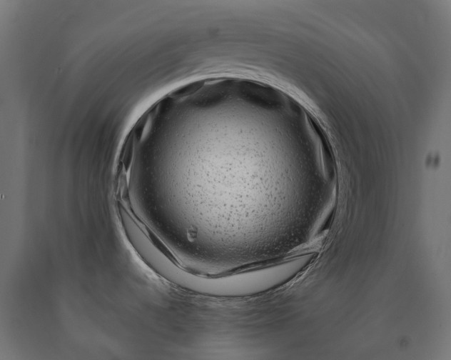 X0000090761536200708031619