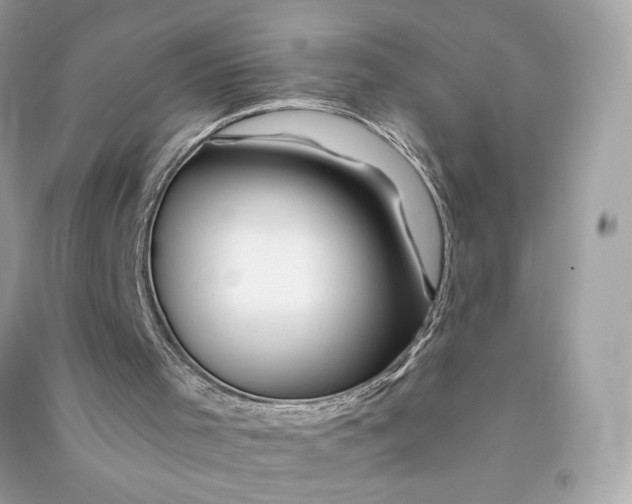 X0000090760001200708101758