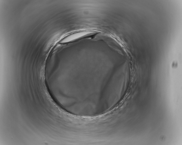 X0000090760002200708101758