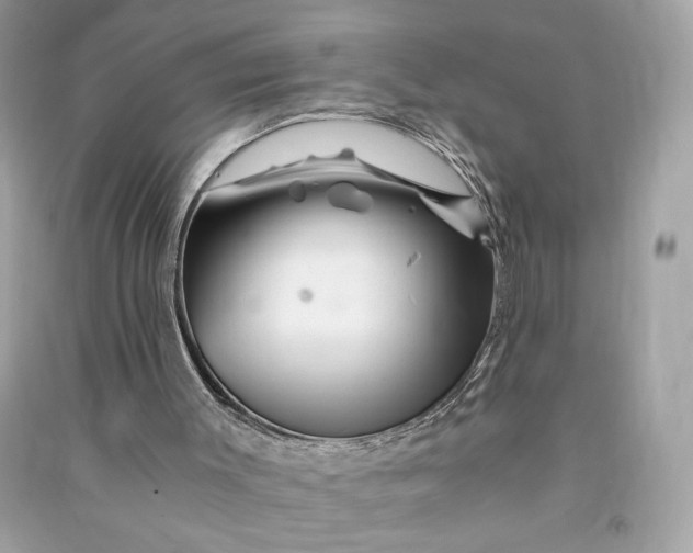 X0000090760003200708101758