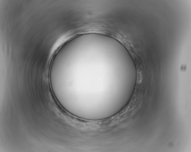 X0000090760004200708101758