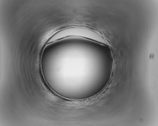 X0000090760005200708101758