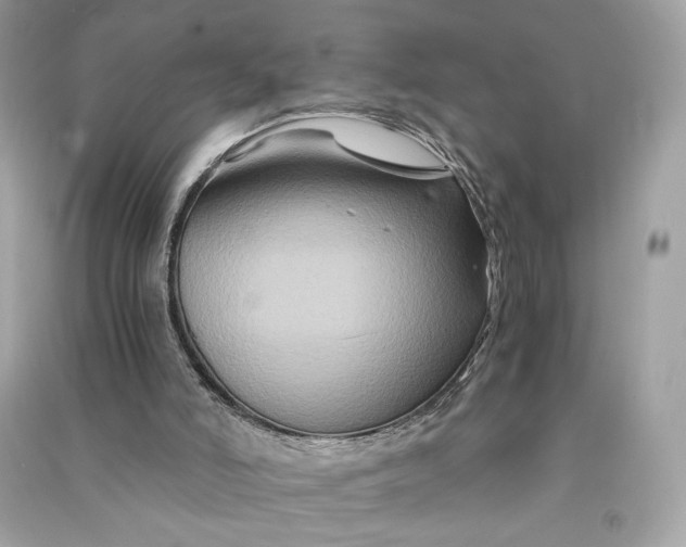 X0000090760006200708101758