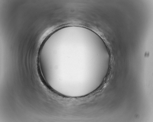 X0000090760007200708101758