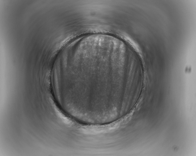 X0000090760009200708101758