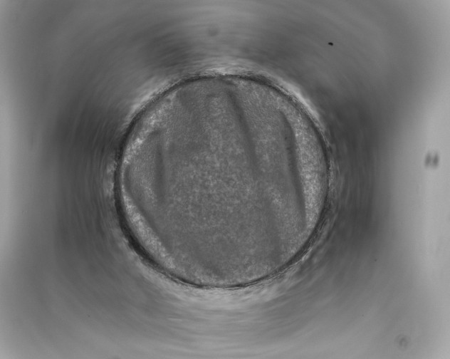 X0000090760010200708101758