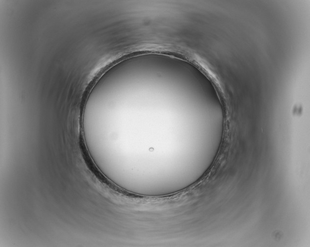 X0000090760011200708101758