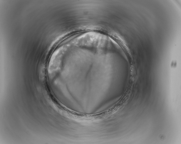 X0000090760012200708101758