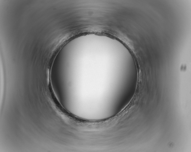 X0000090760013200708101758