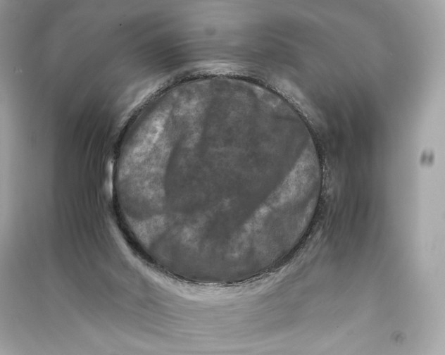 X0000090760014200708101758