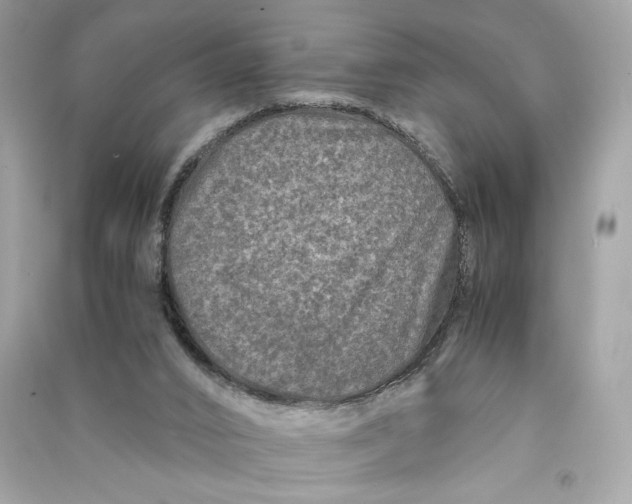 X0000090760016200708101757