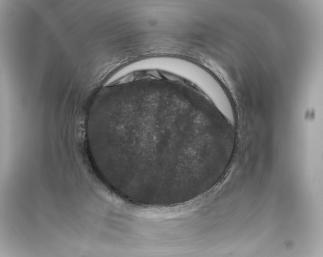 X0000090760017200708101757