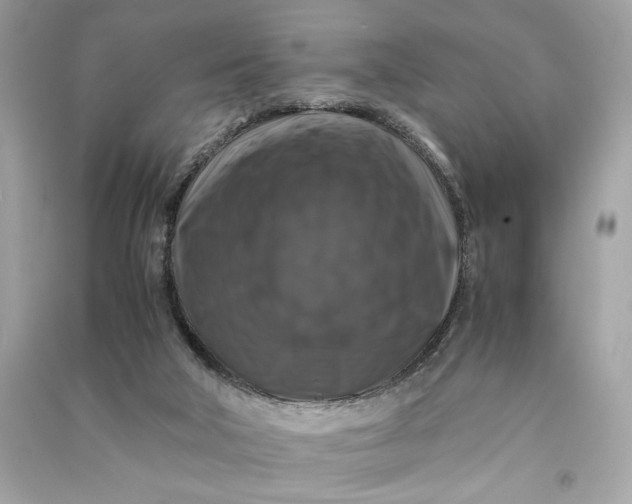 X0000090760018200708101757