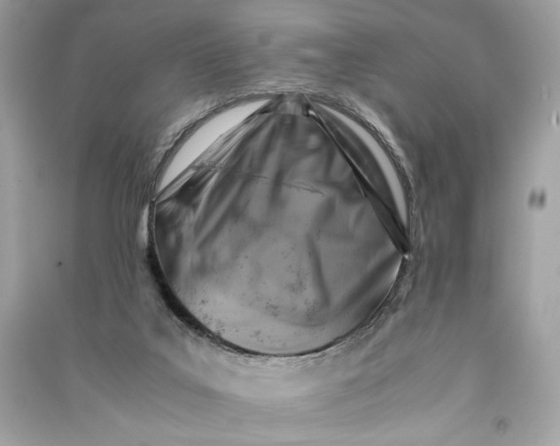 X0000090760019200708101757