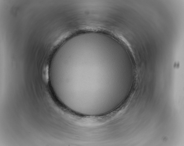 X0000090760020200708101757