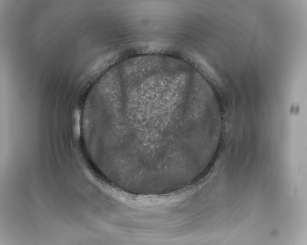 X0000090760022200708101757