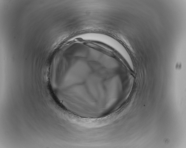 X0000090760023200708101757