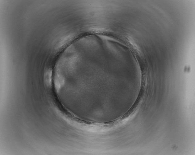 X0000090760024200708101757