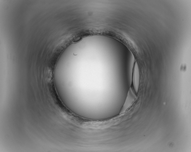 X0000090760025200708101757