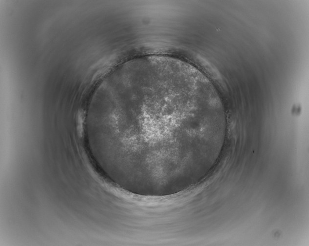 X0000090760026200708101757