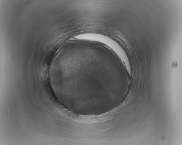 X0000090760029200708101757