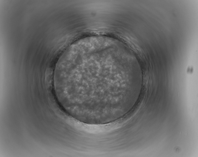 X0000090760030200708101757