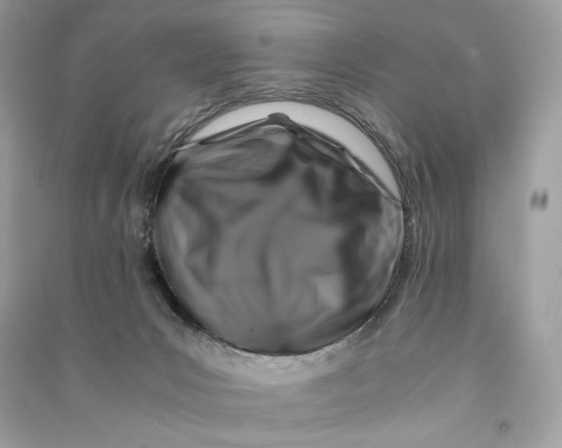 X0000090760031200708101757