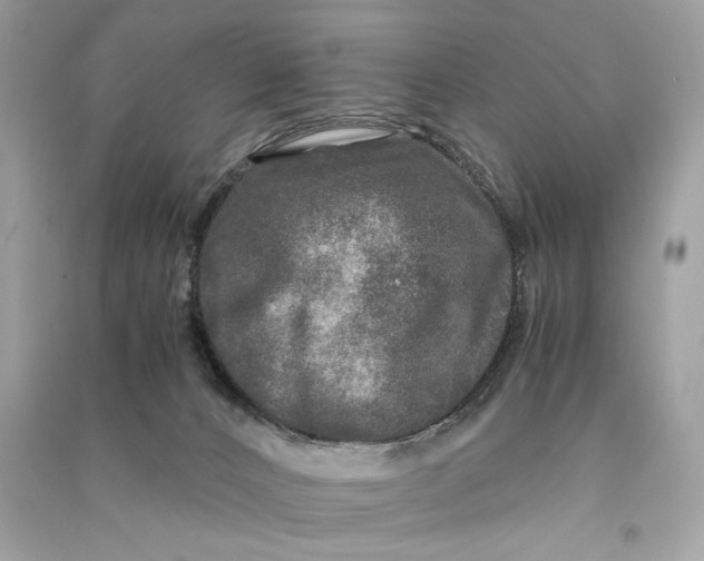 X0000090760032200708101757