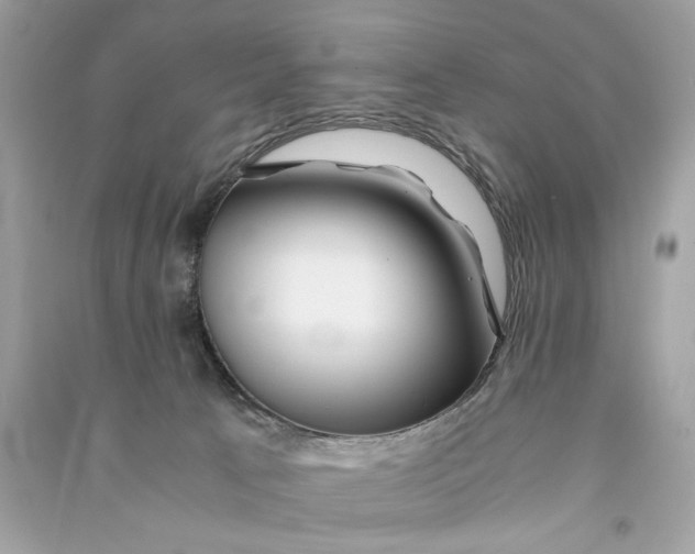 X0000090760033200708101757