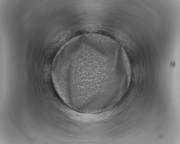 X0000090760034200708101757