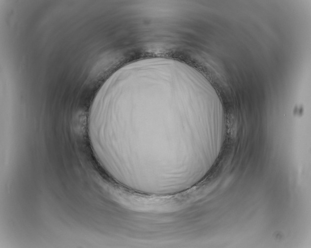 X0000090760036200708101757