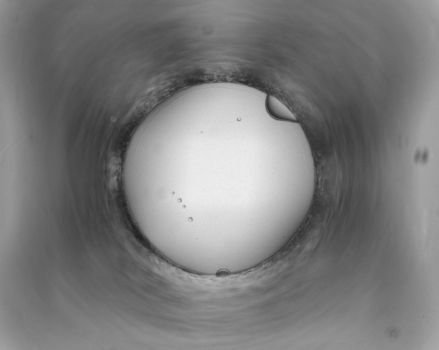 X0000090760038200708101757