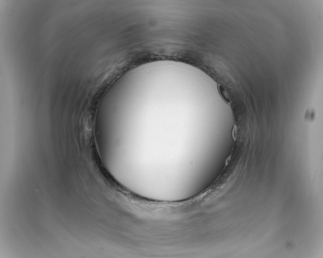 X0000090760040200708101757