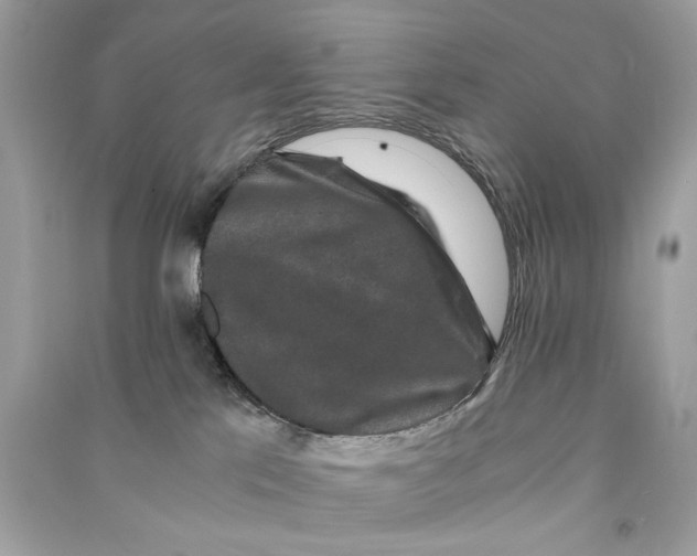 X0000090760041200708101757